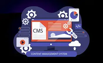 CMS Development Services